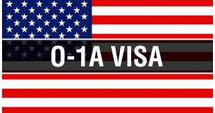 Visa Icon